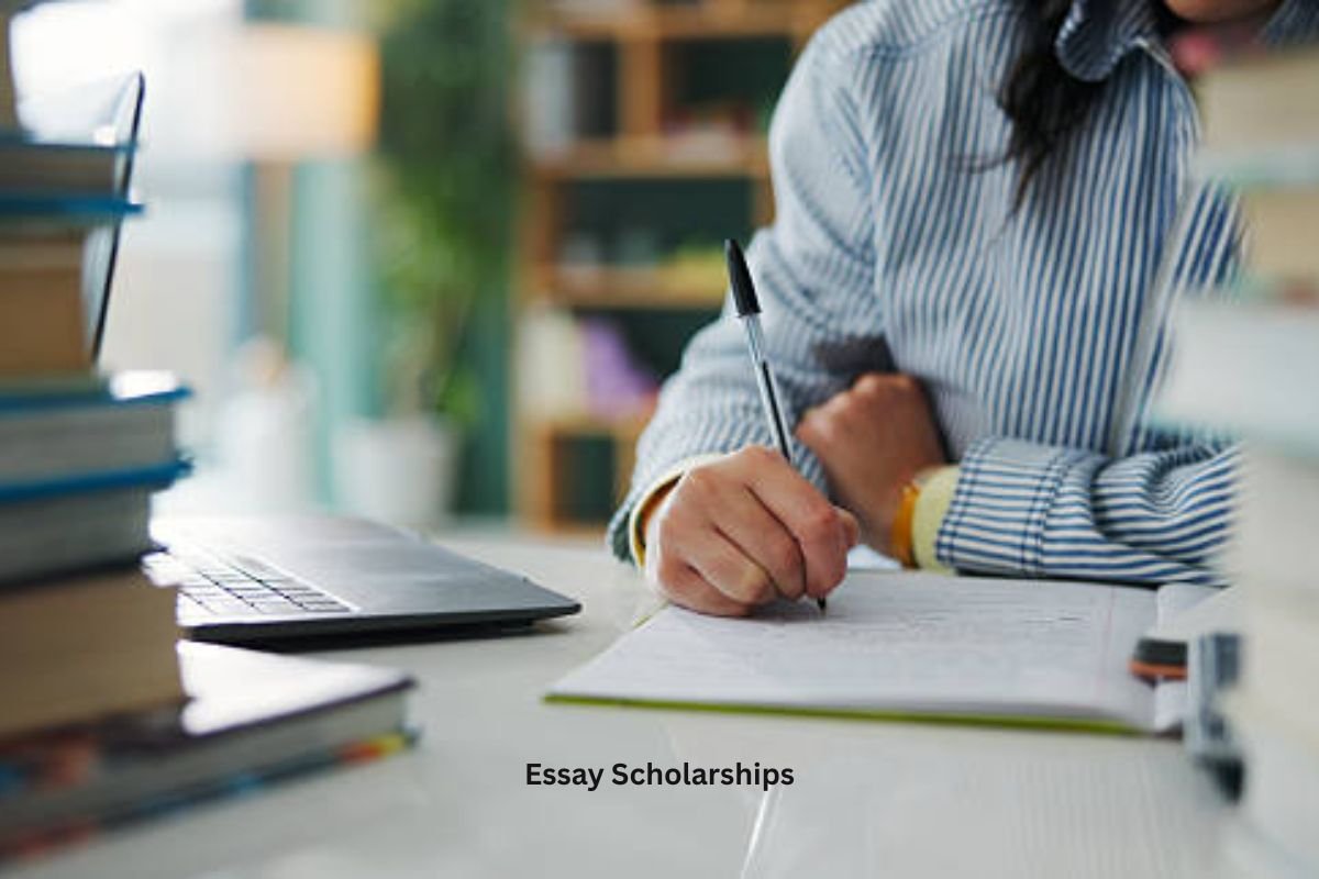 Essay Scholarships